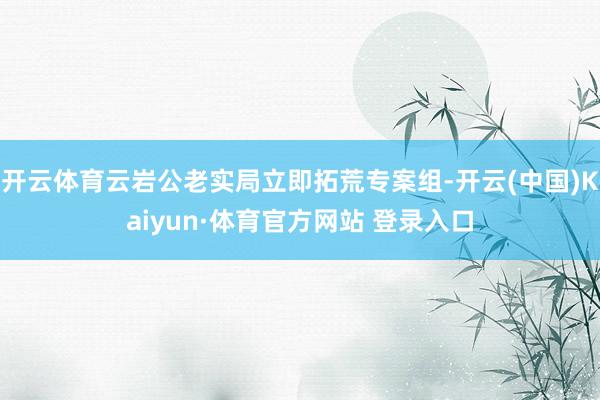 开云体育云岩公老实局立即拓荒专案组-开云(中国)Kaiyun·体育官方网站 登录入口
